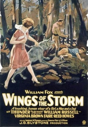 Movie poster for Wings of the Storm (1926)