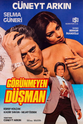 Görünmeyen Düşman poster