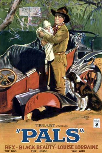 Movie poster for Pals (1925)