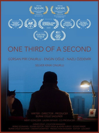 Movie poster for One Third of a Second
