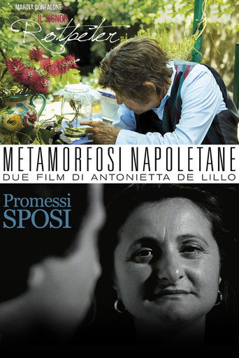 Movie poster for Metamorfosi Napoletane (2017)