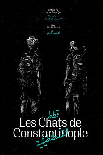 Movie poster for Les Chats de Constantinople (2025)