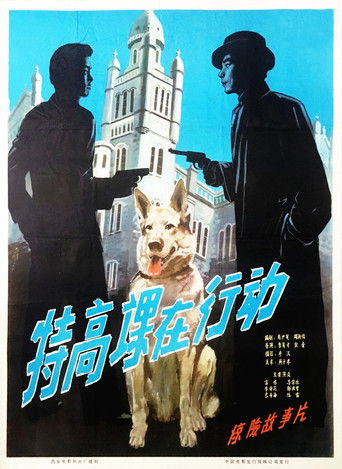 The Secret Service in Action poster