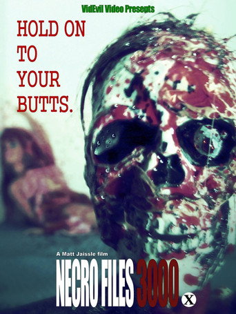 Movie poster for Necro Files 3000 (2017)