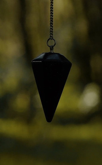 Circulación en la corteza poster