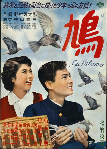 Movie poster for The Pigeon (1952)