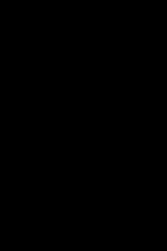 Movie poster for The Black Screen Film (2024)