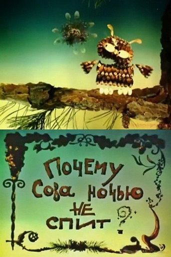 Movie poster for Why Doesn't The Owl Sleep At Night? (2000)