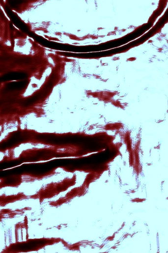 Movie poster for A Suicide Letter(or: A Letter to Flávia) (2026)