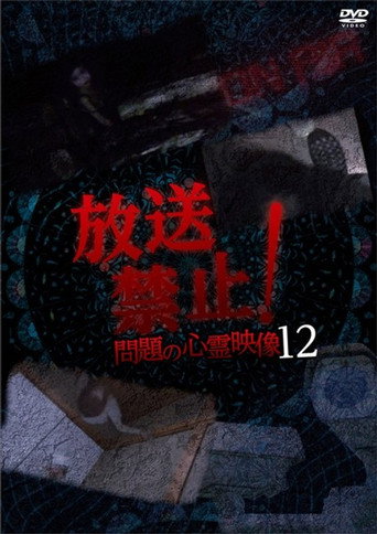 Movie poster for Broadcast Prohibited! Troubling Supernatural Footage 12 (2019)