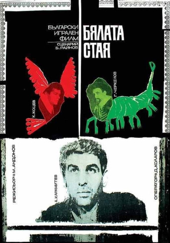 The White Room poster