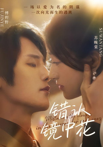 Series poster for 错认镜中花 (2025)