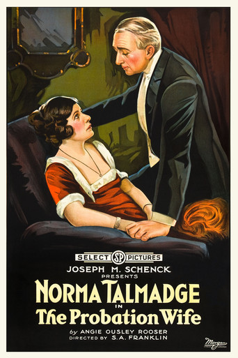 Movie poster for The Probation Wife (1919)