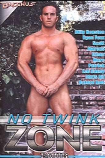 Movie poster for No Twink Zone 4 (2005)