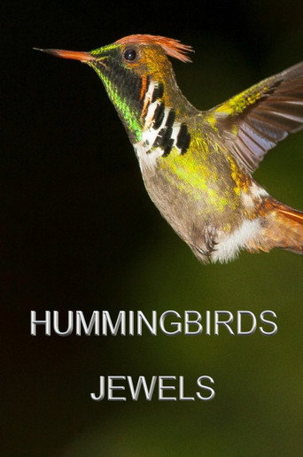 Movie poster for Hummingbirds Jewels (2018)