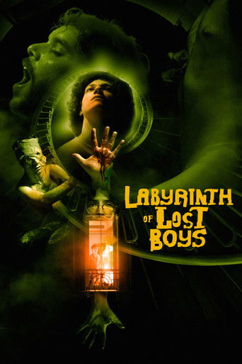 Labyrinth of Lost Boys poster