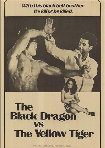 Movie poster for The Black Dragon vs. the Yellow Tiger (1974)