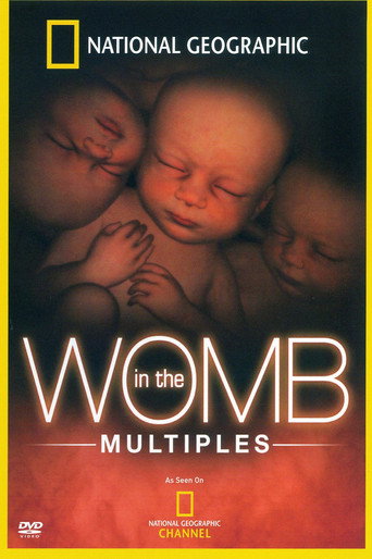 Movie poster for In the Womb: Multiples (2007)