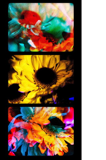 Movie poster for Flowers (II) (2025)