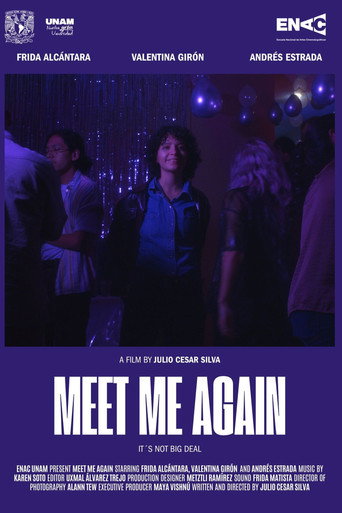 Movie poster for Meet Me Again (2025)