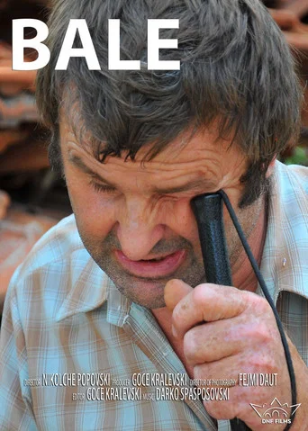Movie poster for Bale (2014)