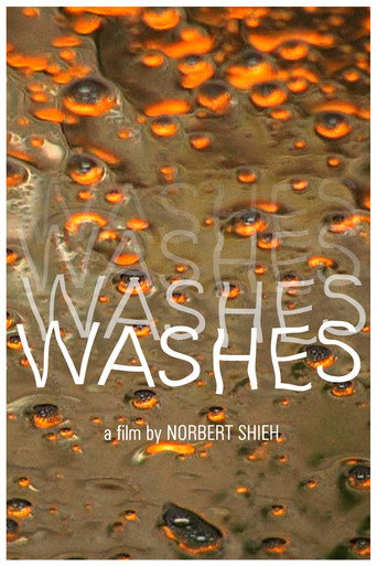 Movie poster for Washes (2010)