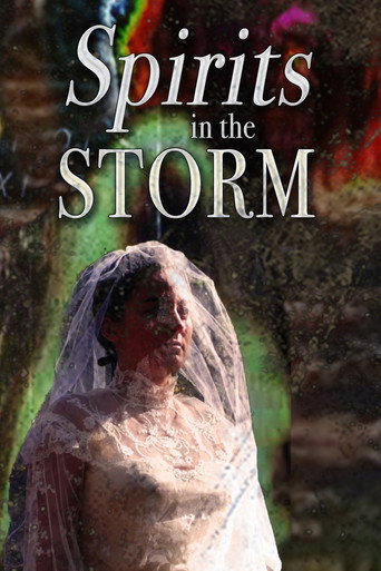 Movie poster for Spirits in the Storm (2019)