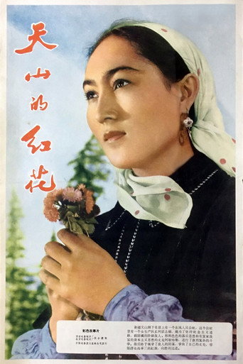 Movie poster for Safflower of Tianshan (1964)