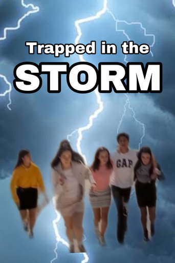 Movie poster for Trapped in the Storm (2019)