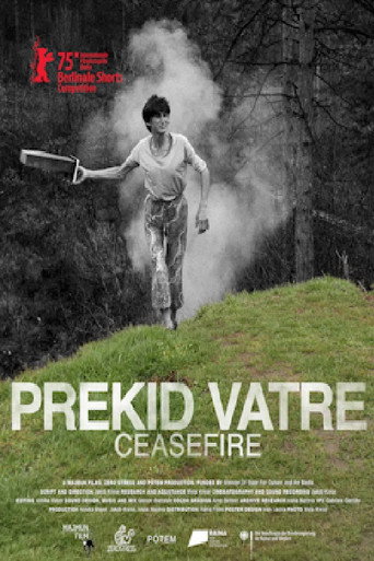 Movie poster for Ceasefire (2025)