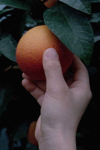 Movie poster for An orange is not a fish (2021)