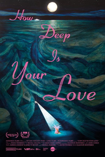 Movie poster for How Deep Is Your Love (2025)