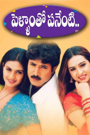 Pellamto Panenti poster