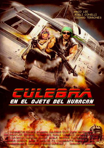 Movie poster for Culebra, en el ojete del huracán (2011)