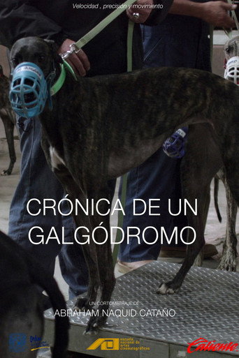 Movie poster for Crónica de un galgódromo (2020)