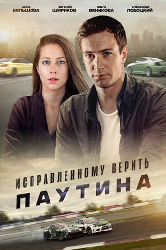 Исправленному верить. Паутина poster