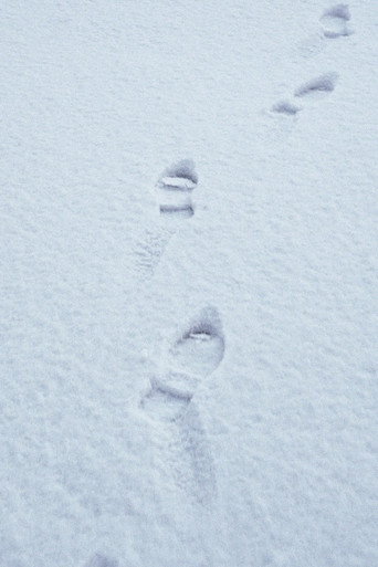 Movie poster for Terza passeggiata - Sulla neve (2019)