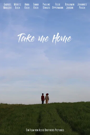 Movie poster for Take me Home (2024)