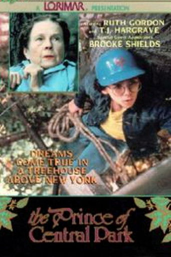 The Prince of Central Park poster