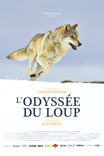 Movie poster for A Wolf's Journey (2019)