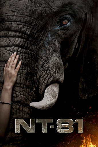 Movie poster for NT81