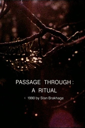 Movie poster for Passage Through: A Ritual (1990)