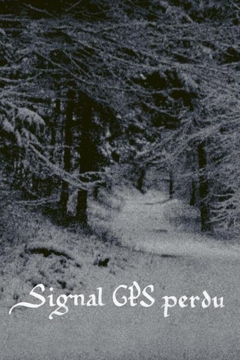 Movie poster for GPS Signal Lost (2024)