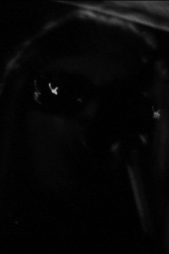 Movie poster for One Roll in the Blackness (2011)