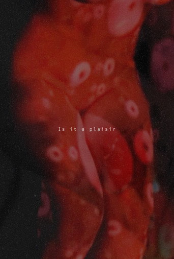 Movie poster for Is It A Plaisir (2025)