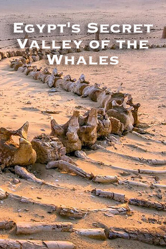 Egypt's Secret Valley of the Whales poster