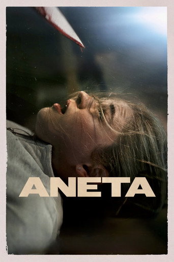 Movie poster for Aneta (2024)