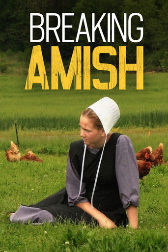 Series poster for Breaking Amish (2012)
