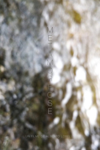 Movie poster for Metamorphosis (2021)