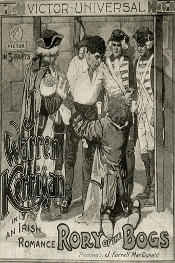 Movie poster for Rory o' the Bogs (1913)